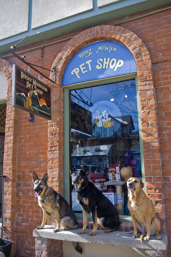 petshop