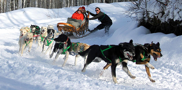 krabloonik-dogsled-ride1